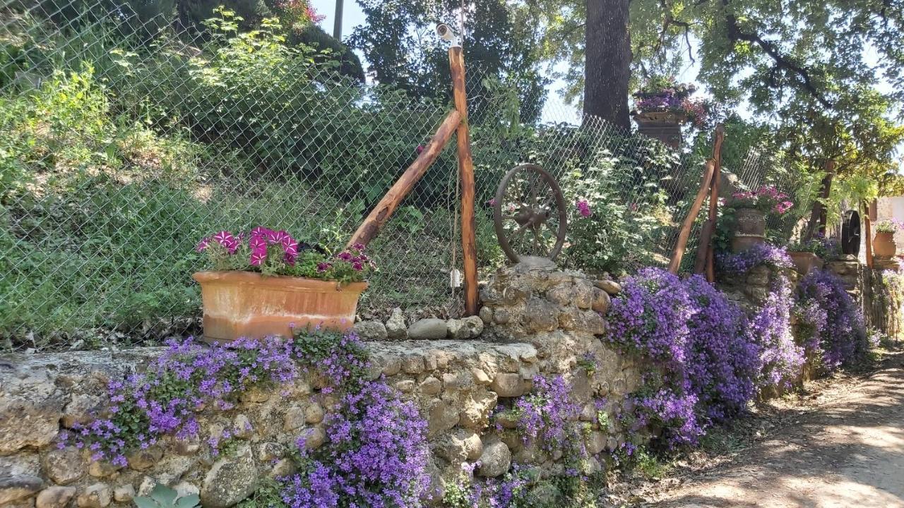 La Limonaia Country House モンテリッジョーニ エクステリア 写真